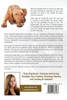 Vizsla Dogs