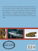 ABC of "Not Too" Natural History