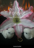 Love Forever