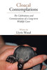 Cloacal Contemplations