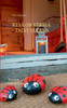 Kesä on edessä - talvi takana