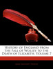 History of England from the Fall of Wolsey to the Death of Elizabeth, Volume 7
