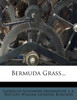 Bermuda Grass...