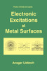 Electronic Excitations at Metal Surfaces