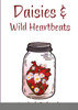 Daisies & Wild Heartbeats