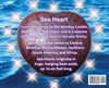 Diamond's Magical Sea Heart Adventures