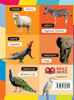 My First 100 Animals in Igbo Language and English