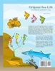 Origami Sea Life