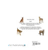Big Cats / Gatos Grandes