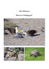 Discover Galápagos!