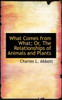 What Comes from What; Or, The Relationships of Animals and Plants