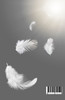 Angel Rising