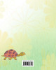 Where Did David The Tortoise Go?