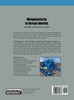 Metaplasticity in Virtual Worlds