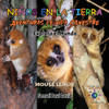 Niños en la Tierra Aventuras de vida Silvestre - Explora el Mundo Mouse Lemur - Madagascar