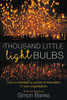 A Thousand Little Lightbulbs