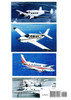 Kites, Birds & Stuff  -  BEECH  Aircraft