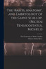 The Habits, Anatomy, and Embryology of the Giant Scallop, (Pecten Tenuicostatus, Mighels)