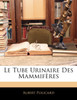 Le Tube Urinaire Des Mammifères