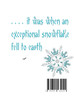 An Exceptional SnowFlake