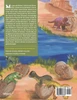 The Dinosaur Stories