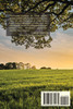 Memorii