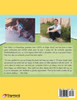 Lisek's Great Adventure