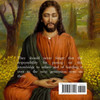 The Holy Bible's Book of Creation