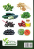 An Alkaline Alphabet