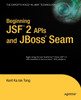 Beginning JSF 2 APIs and JBoss Seam