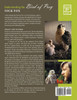 Understanding the Bird of Prey