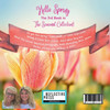 Hello, Spring