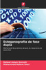 Esteganografia de fase dupla