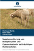 Supplementierung von Butaphosphan und Cyanocobalamin bei trächtigen Mutterschafen