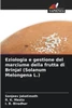 Eziologia e gestione del marciume della frutta di Brinjal (Solanum Melongena L.)