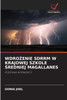 WDROŻENIE SDRRM W KRAJOWEJ SZKOLE ŚREDNIEJ MAGALLANES