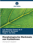 Morphologische Merkmale von Kuhbohnen