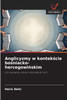 Anglicyzmy w kontekście bośniacko-hercegowińskim