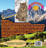 How We Discovered The Missing Lynx
