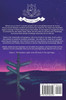The Southern Lights
