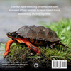 Turtle Snoots, Scutes, and Toots? Fascinating Turtle Facts