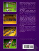 DBMM Army Lists Book 2