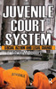 Juvenile Court System
