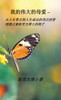 我伟大的母爱 : 从人生零点达到人生成功模式例子像陈雪光博士 by Dr. Jack Tan (Hardcover)