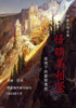 情殇美利坚 : 疫情下的爱恨离愁 by Shixin Li (Paperback)