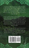 Veil of Deception : Chronicles of the Chosen, book 2 by Shanon L. Mayer (Paperback)