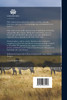 The Southdown Flock Book; Volume 1 (Paperback)