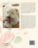 Ms. B's Homemade Dogfood Cookbook by Bonni Nicolai (Paperback)