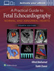 A Practical Guide to Fetal Echocardiography : Normal and Abnormal Hearts (Hardcover)