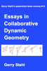 Essays in Collaborative Dynamic Geometry by Gerry Stahl (Paperback)